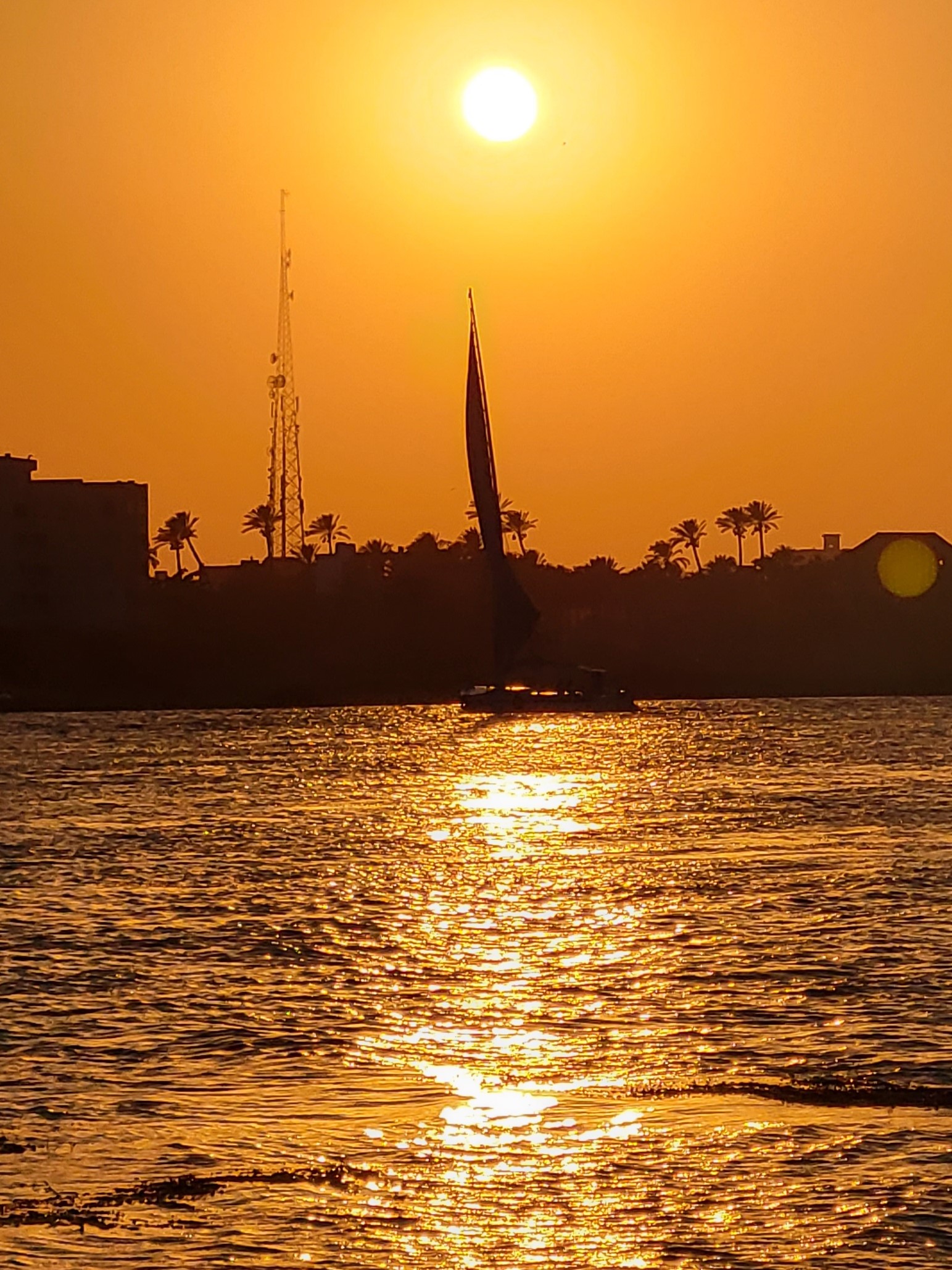 Flourishing Family Adventures